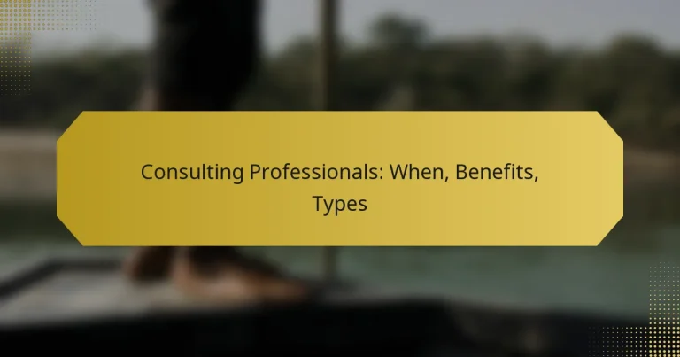 Consulting Professionals: When, Benefits, Types